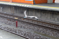 （強）雨のステイション　その1