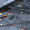 紅葉・過渡期・夜　その1