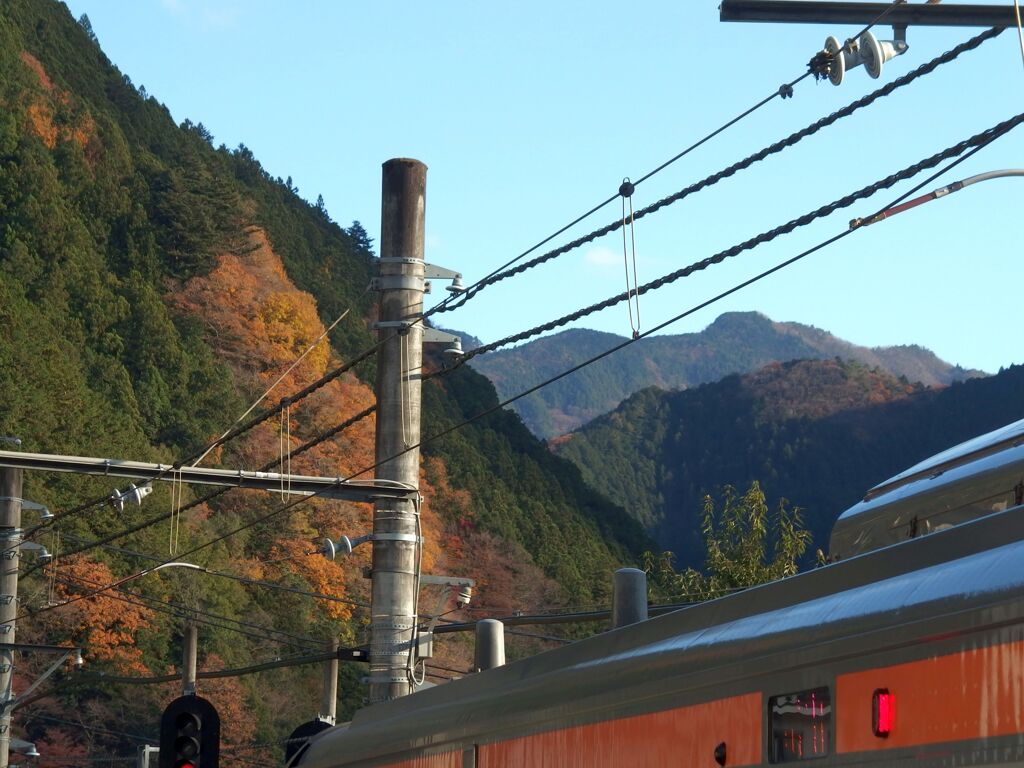 もみじと山肌　その2