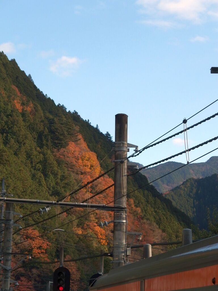 もみじと山肌　その1