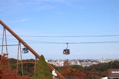 紅葉と街を見下ろして