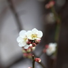 寒い雨が降ってても　その３