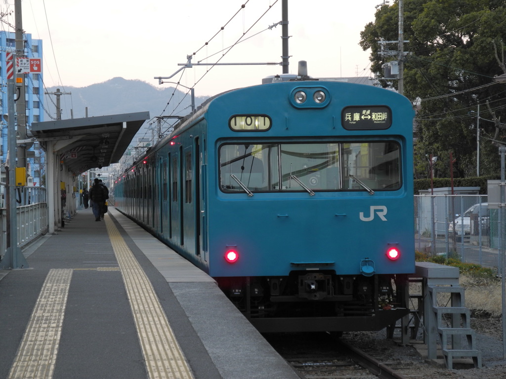 DSCN1137