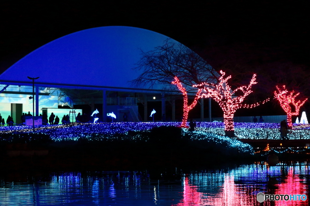 夜の灯り