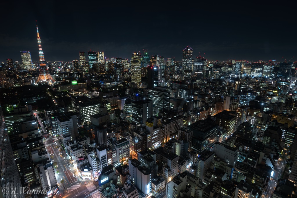 世界貿易センタービルより