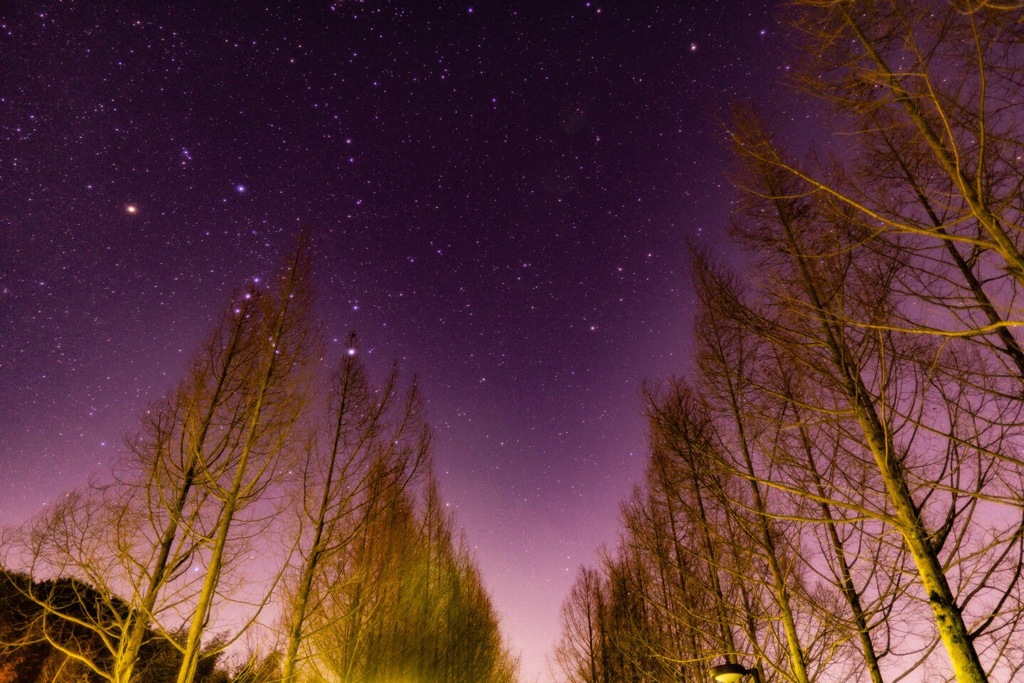 大晦日 日本へそ公園での星景写真 By ちっくりん Id 5 写真共有サイト Photohito