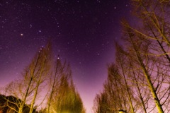 大晦日 日本へそ公園での星景写真