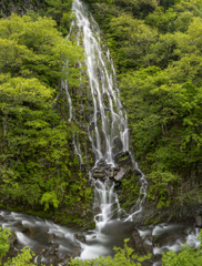 樽滝