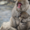 母と子と