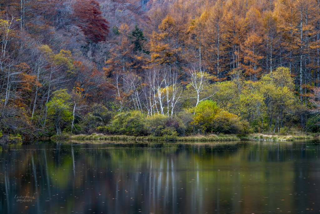 山奥の静寂