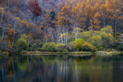 山奥の静寂