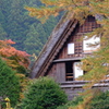 紅葉の白川郷