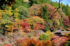 談山神社