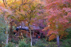 鶏足寺