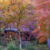 鶏足寺