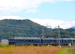 近鉄観光列車 青の交響曲