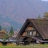 紅葉の白川郷