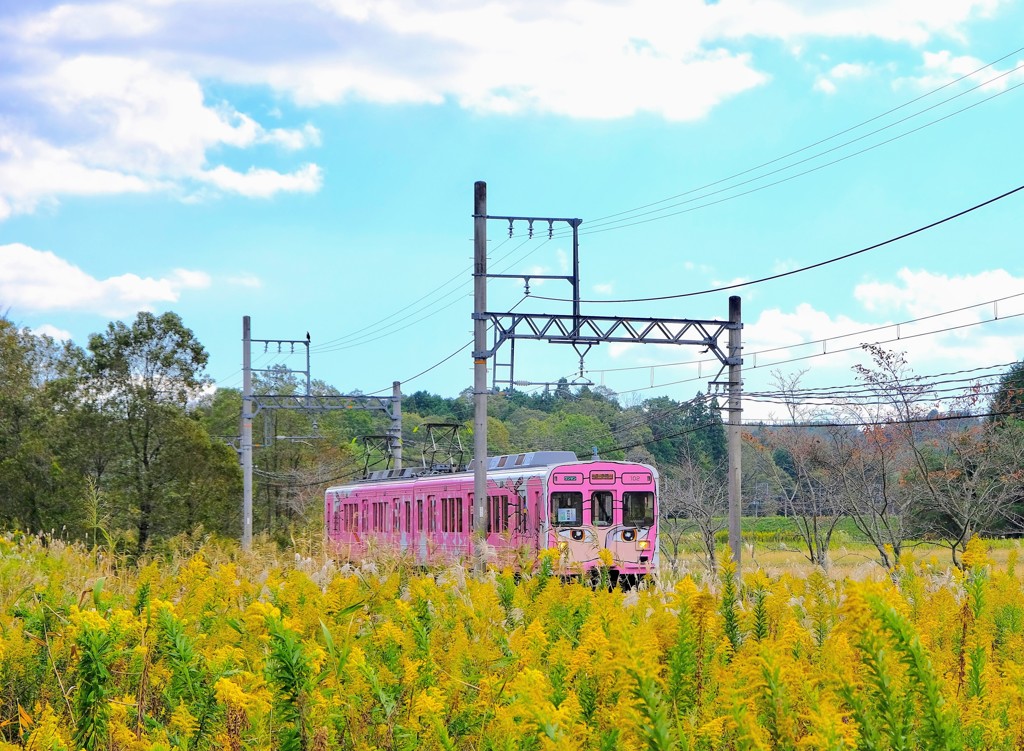 伊賀鉄道上林駅付近