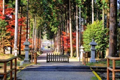 信楽高原鉄道