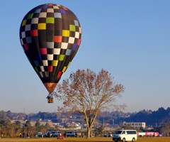 鈴鹿バルーンフェスティバル