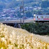 伊賀鉄道 西大手〜新居