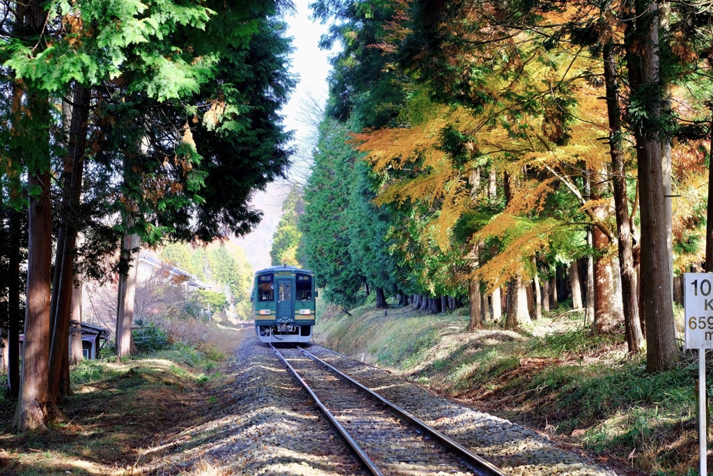 信楽高原鉄道