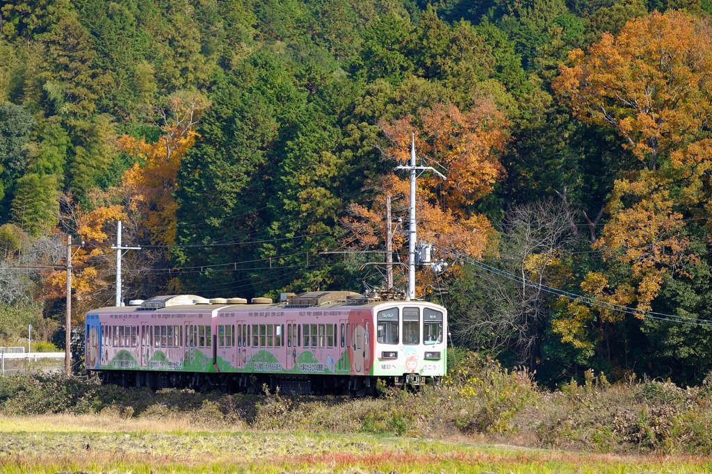 近江鉄道 水口松尾〜日野