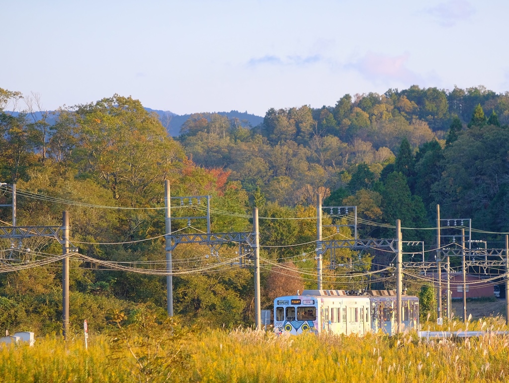 伊賀鉄道 丸山〜上林