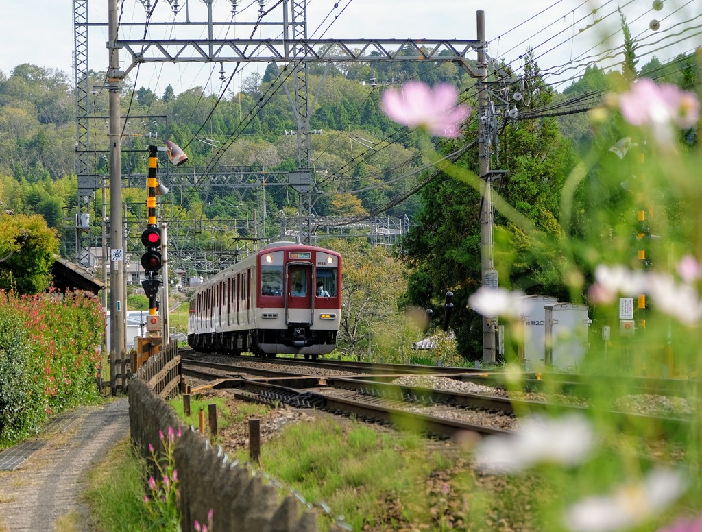 近鉄電車　室生口大野駅付近