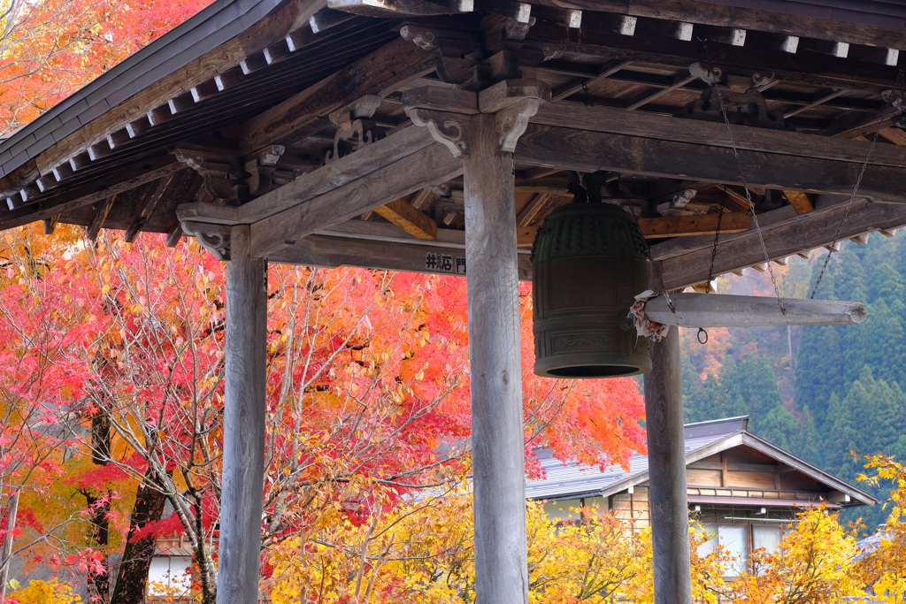 紅葉の白川郷