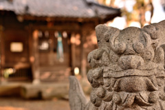 松戸 雷電神社 狛犬