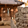 松戸 雷電神社 狛犬