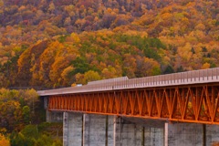 紅葉 橋 小樽市 高速道路