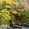 箱根湯本 須雲川の紅葉