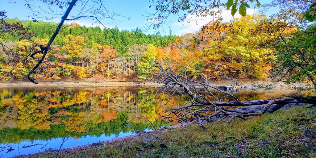 大沼 （栃木県那須塩原）