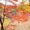 大沼の紅葉