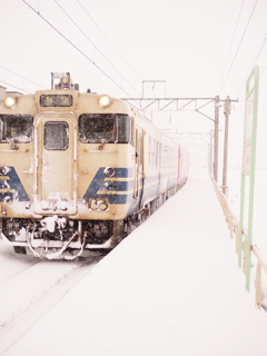 雪をかき分けて