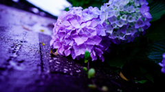 7F9908C2-7F67-4E00-AF55-99D101F28A4A