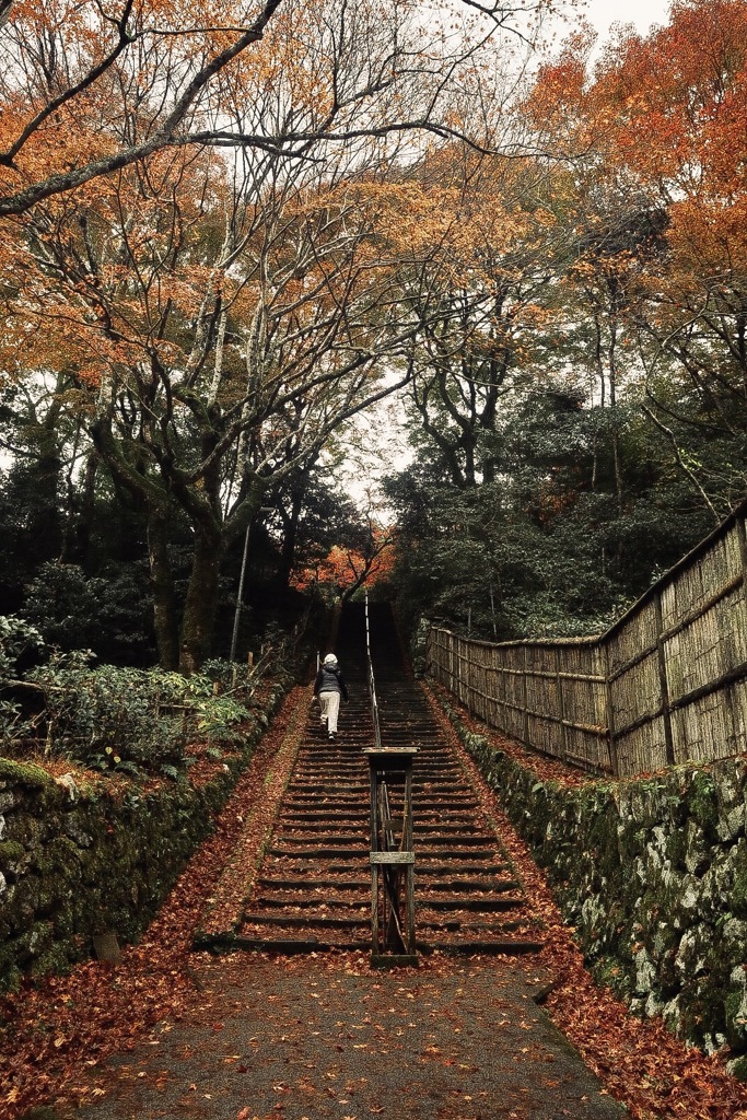 鰐淵寺②