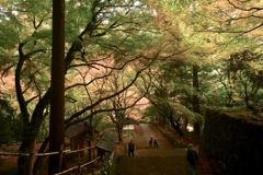 鰐淵寺