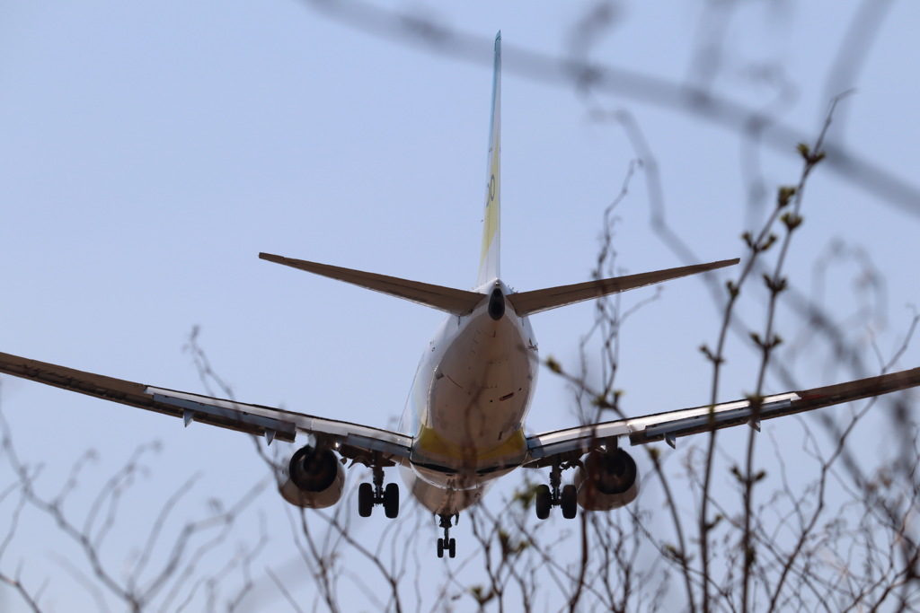 AirDo