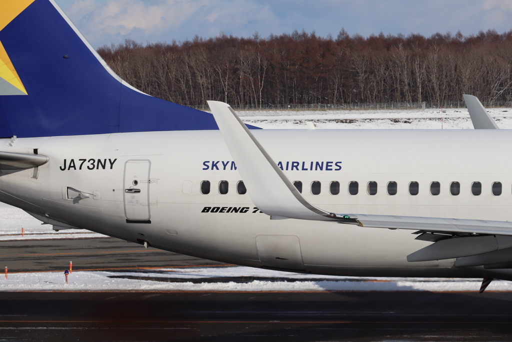 SKYMARK