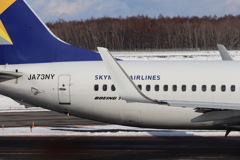 SKYMARK