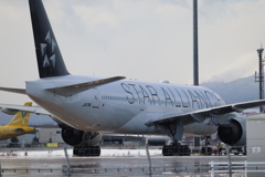 ANA STAR ALLIANCE