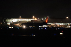 夜の千歳空港