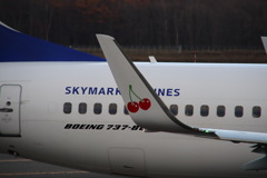 SKYMARK サクランボ