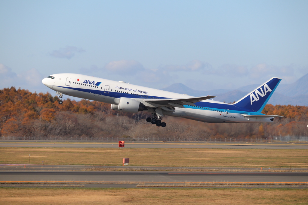 ANA