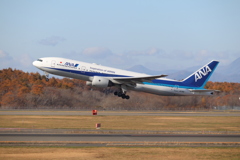ANA