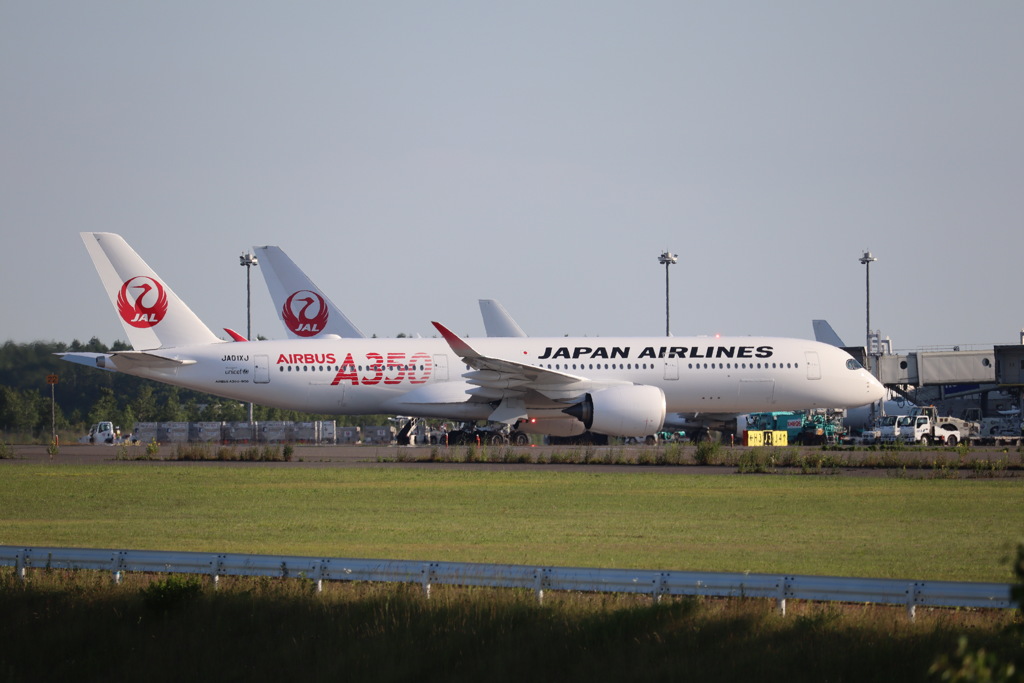 JAL A350