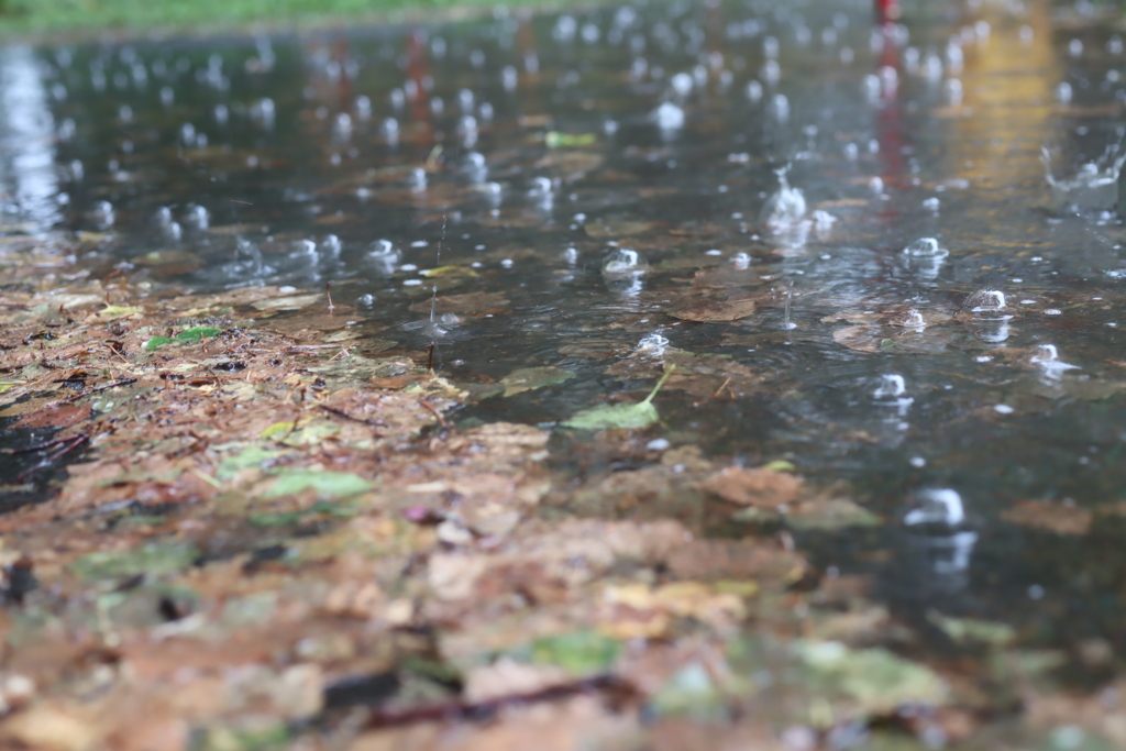 記録的短時間大雨